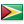 Guyana (GY) Flag