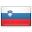 Slovenia (SI) Flag