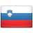 Slovenia (SI) Flag